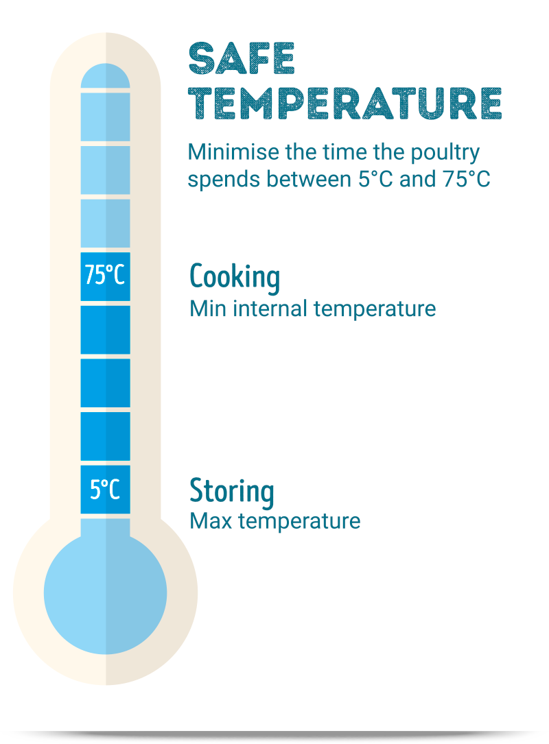 Food Temperature Charts Nz