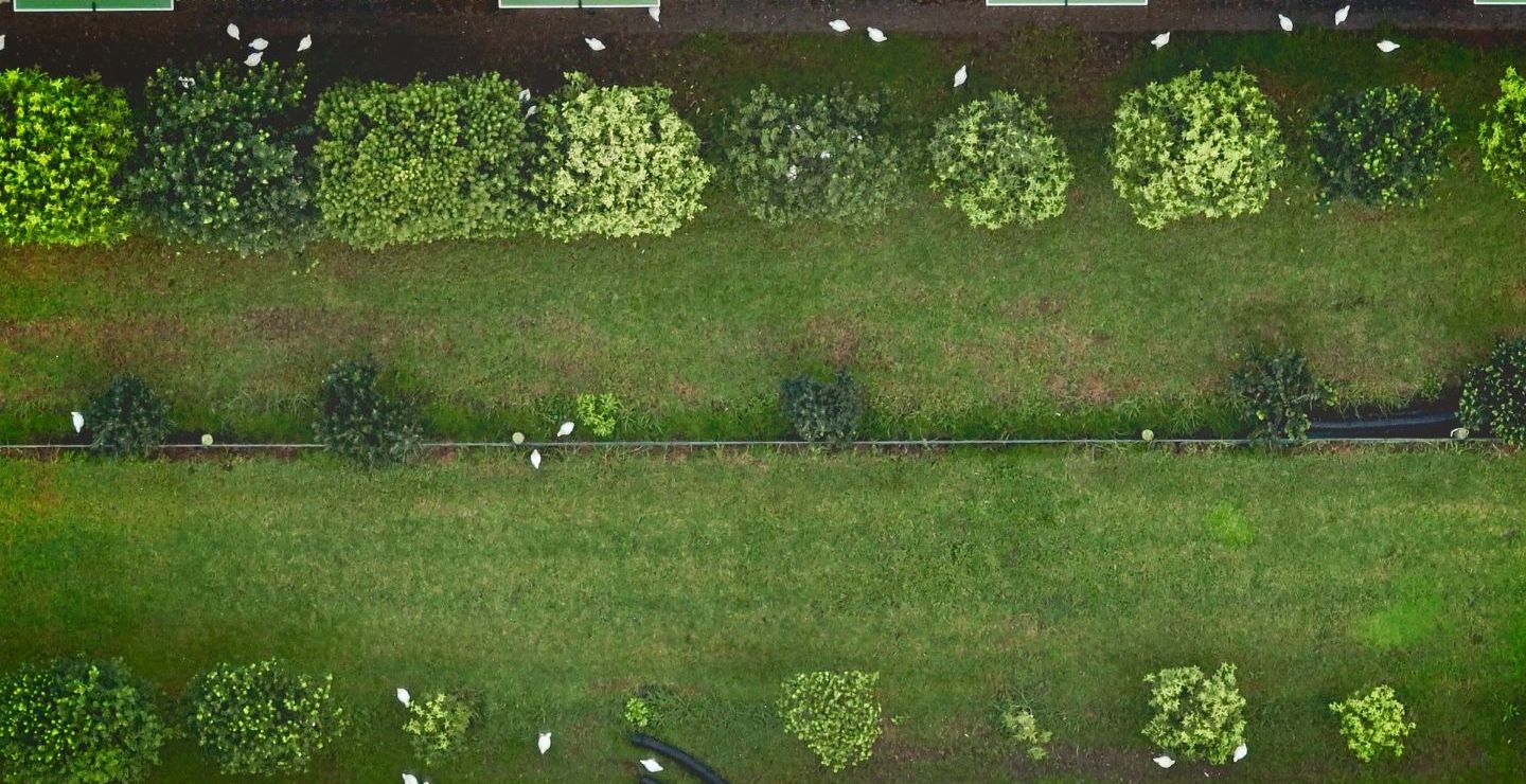 Wataview Drone