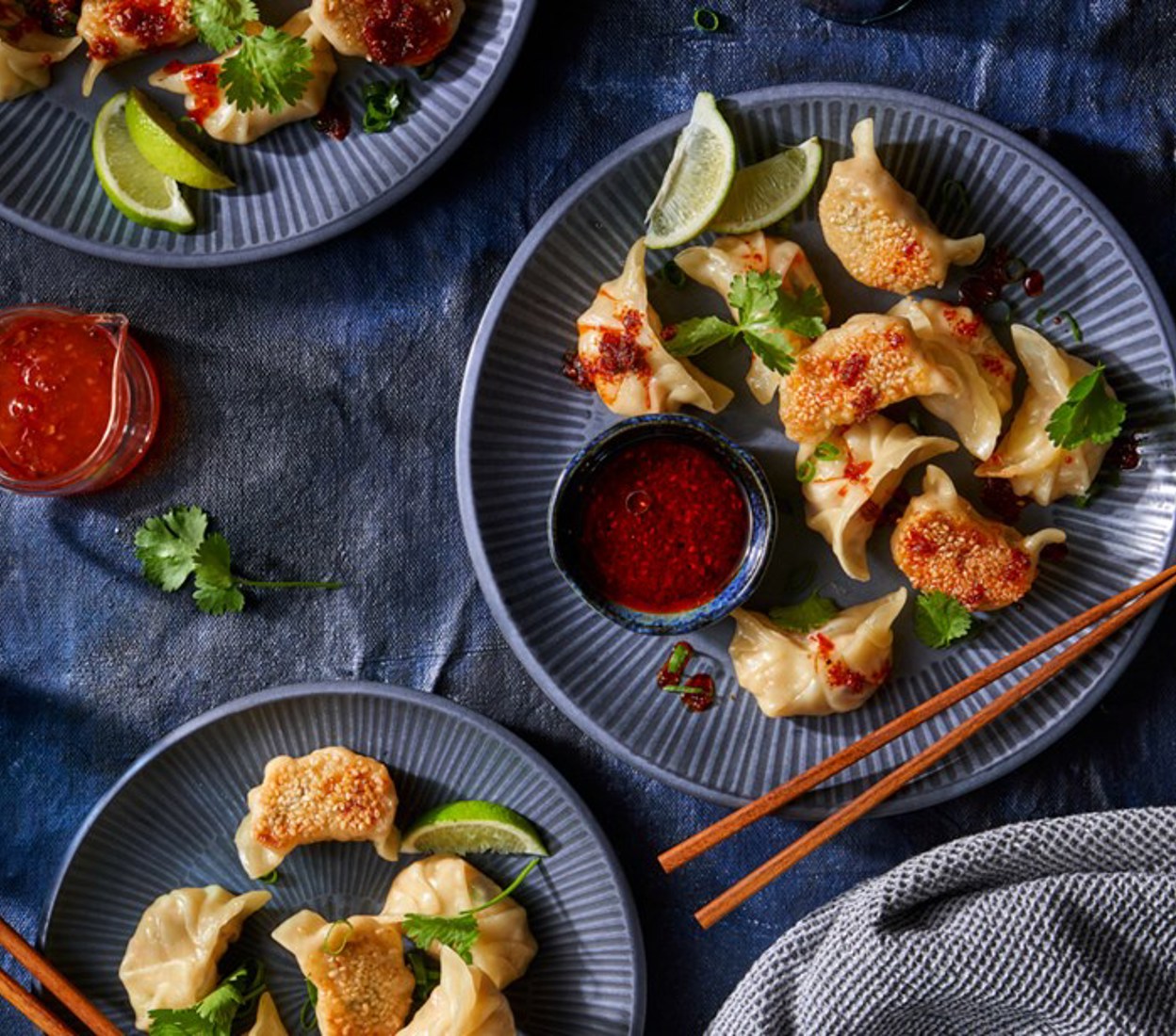 Chicken Potsticker Dumplings 